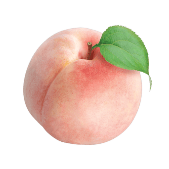 Ideal Protein White Peach Water Enhancer